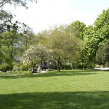 Umgebung - Cafe Ole, Übernachtung in Ferienwohnung in Dresden - Neustadt